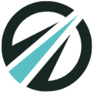 DNS Data logo